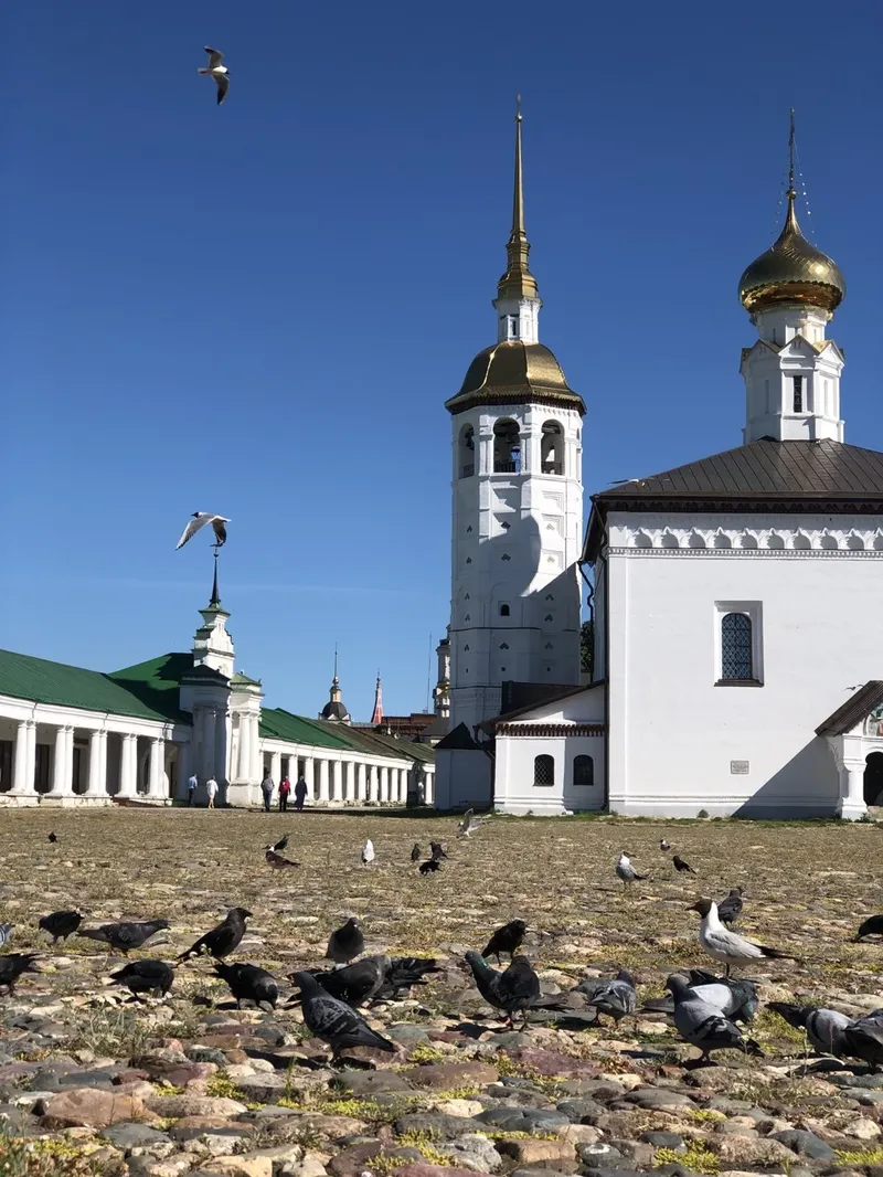Интерактивная экскурсия «По Суздалю с местным жителем»