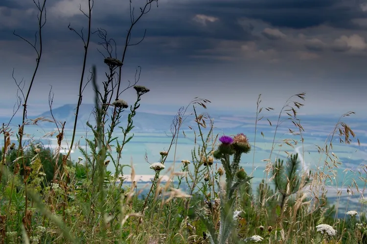 Тайные тропы Машука: треккинг и пикник из Пятигорска