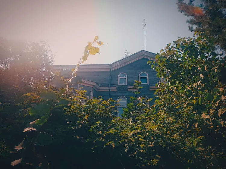 Открывая деревянное царство