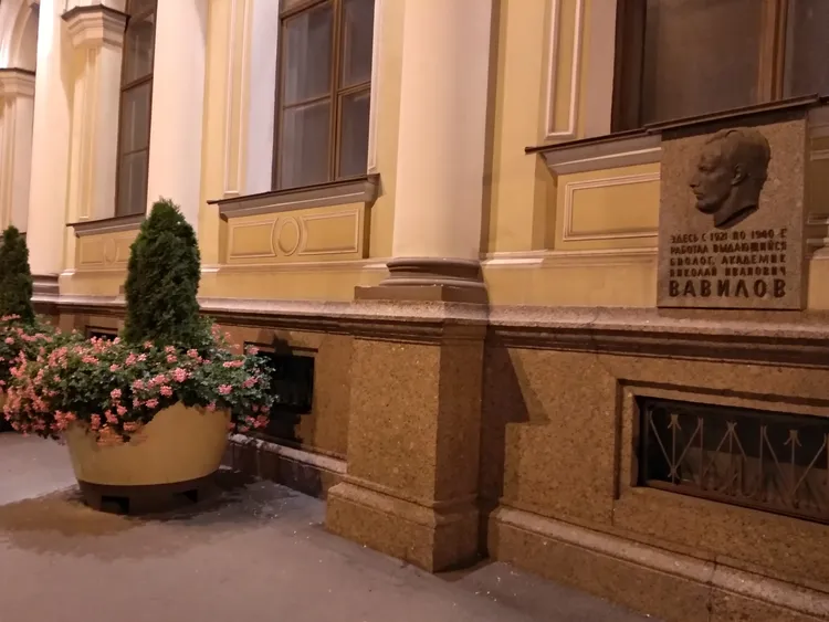 Величие Петербурга: нескучная прогулка по парадным площадям