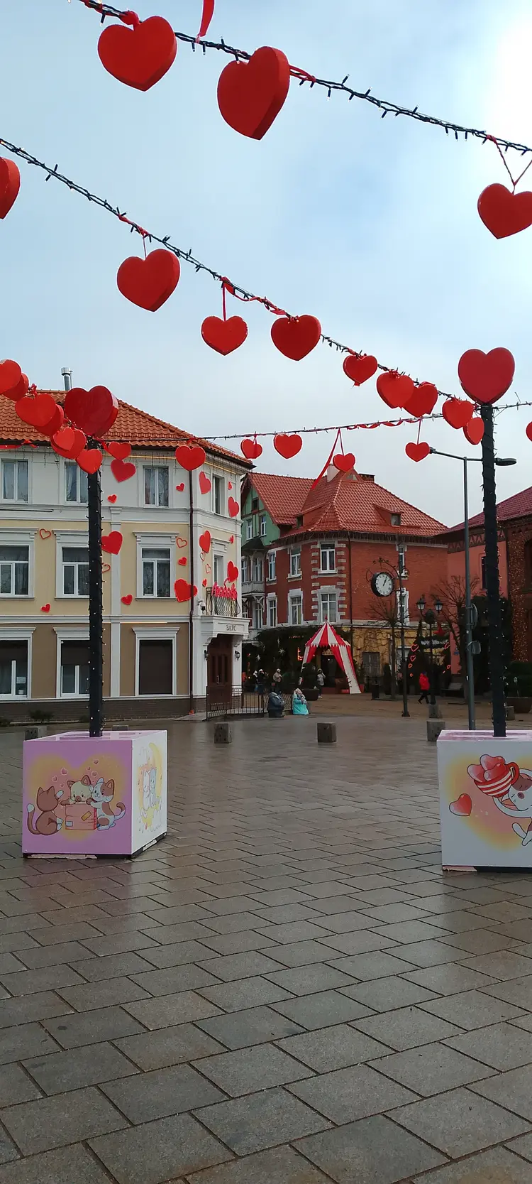 Свидание с Зеленоградском: влюбитесь в город за 2 часа. Море, коты, история и никакой спешки