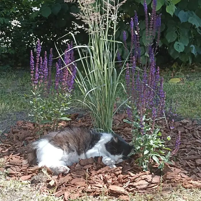 Куршская коса и Зеленоградск глазами влюбленного местного жителя: море, тишина и бесконечное вдохновение. Выезд из Калининграда