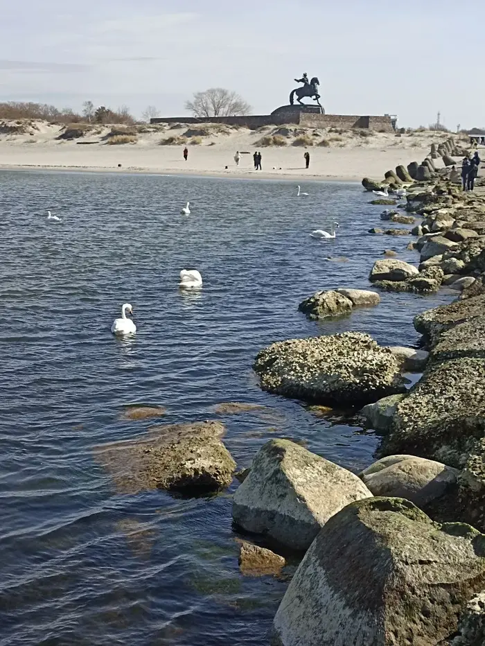 Балтийск и Балтийская коса: где корабли, бункеры и лебеди делят одну территорию. Выезд из Калининграда
