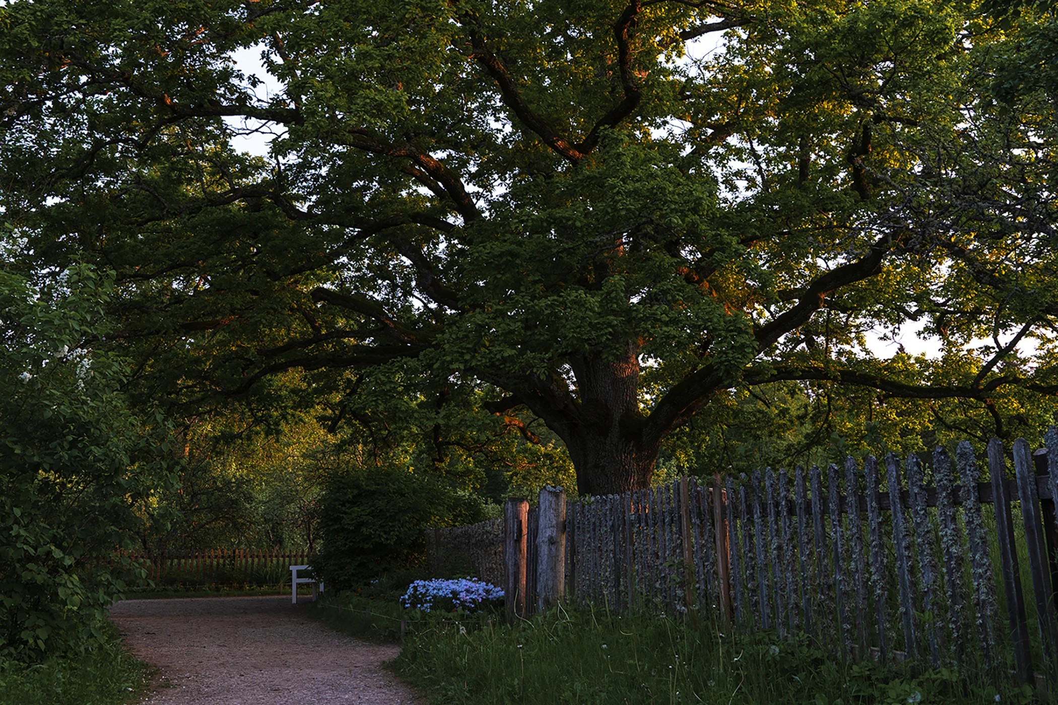 Пушкинские Горы: любовь, ссылка и гений. Литературная экскурсия из Пскова