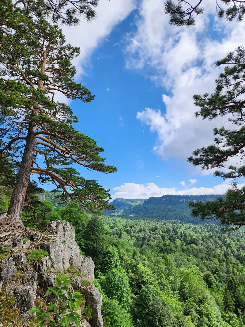 Легенды горной Адыгеи