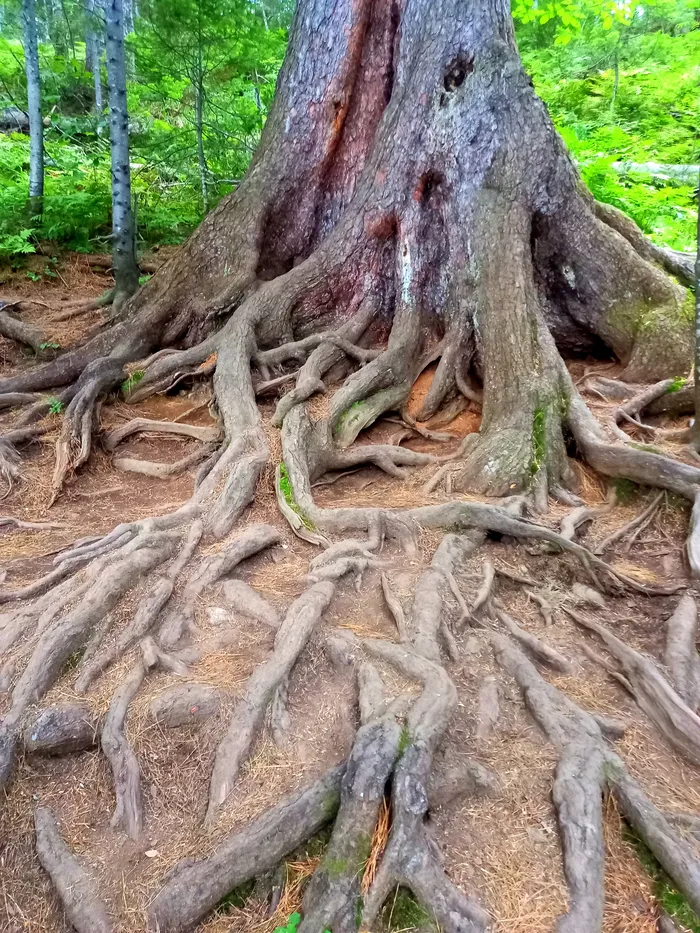 Едем на южный Байкал! На теплые озера и в заповедник!