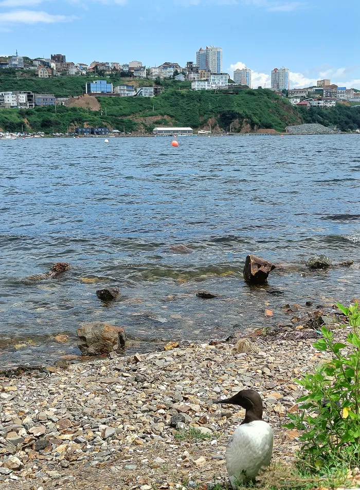 Владивосток - топ 10!