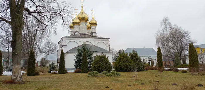 Авторская экскурсия из Рязани в Мещеру. Начало Окского заповедника