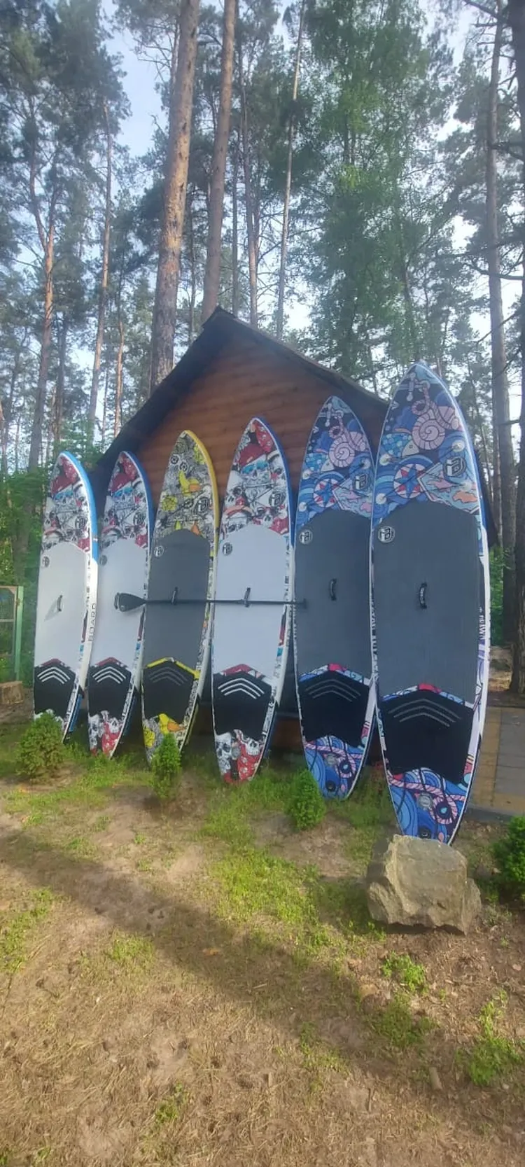 На САП-бордах по лесной реке