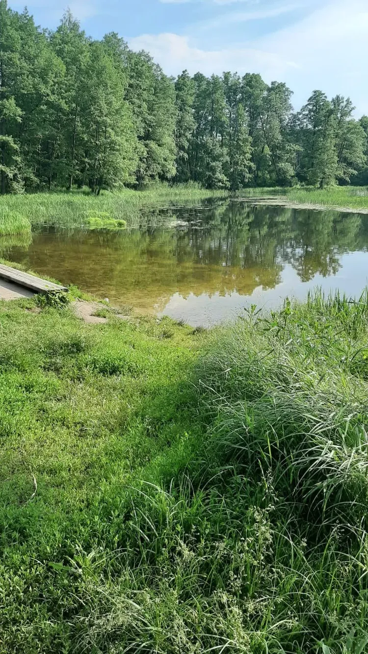 На САП-бордах по лесной реке