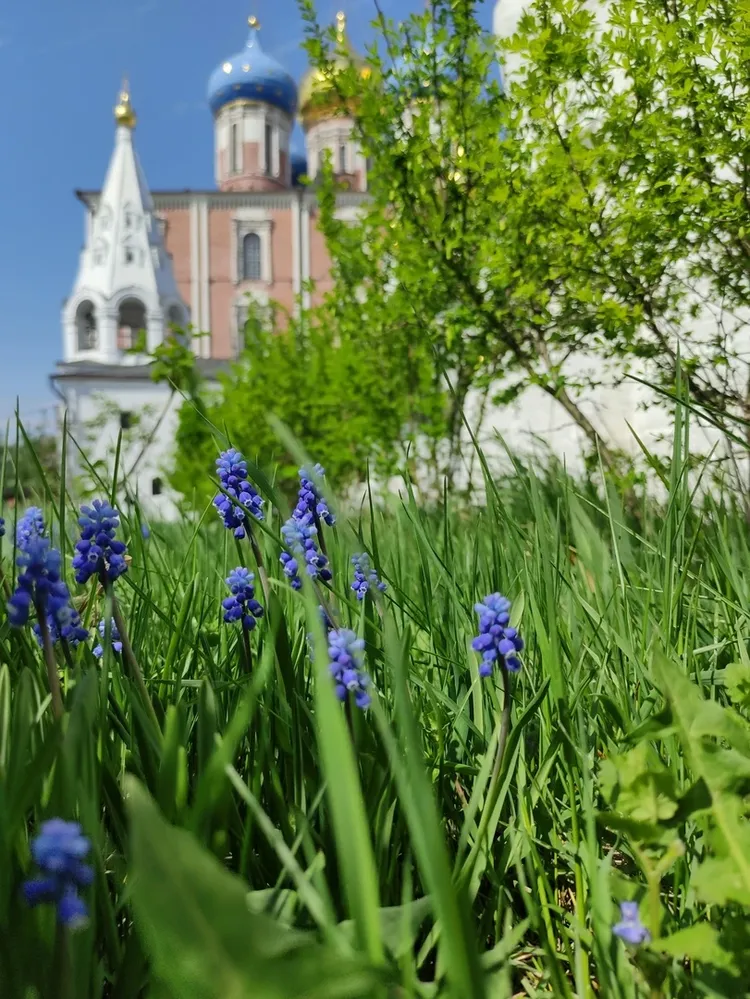 Экскурсия по Рязани 