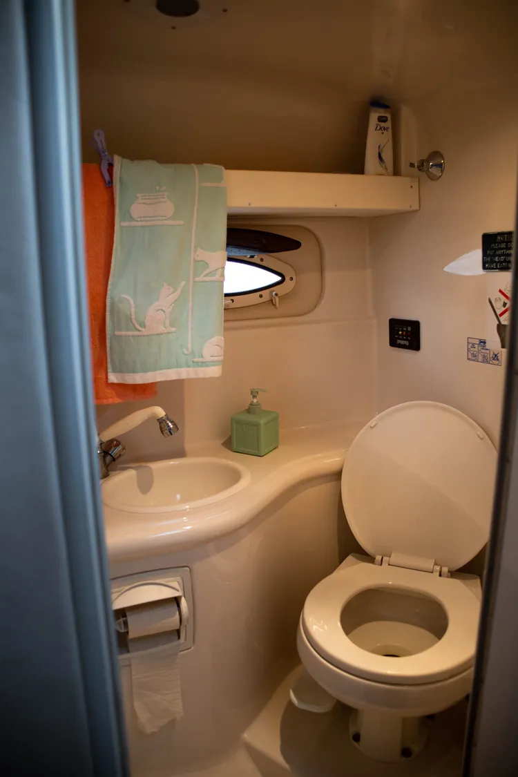 Прогулка на катере по Волге