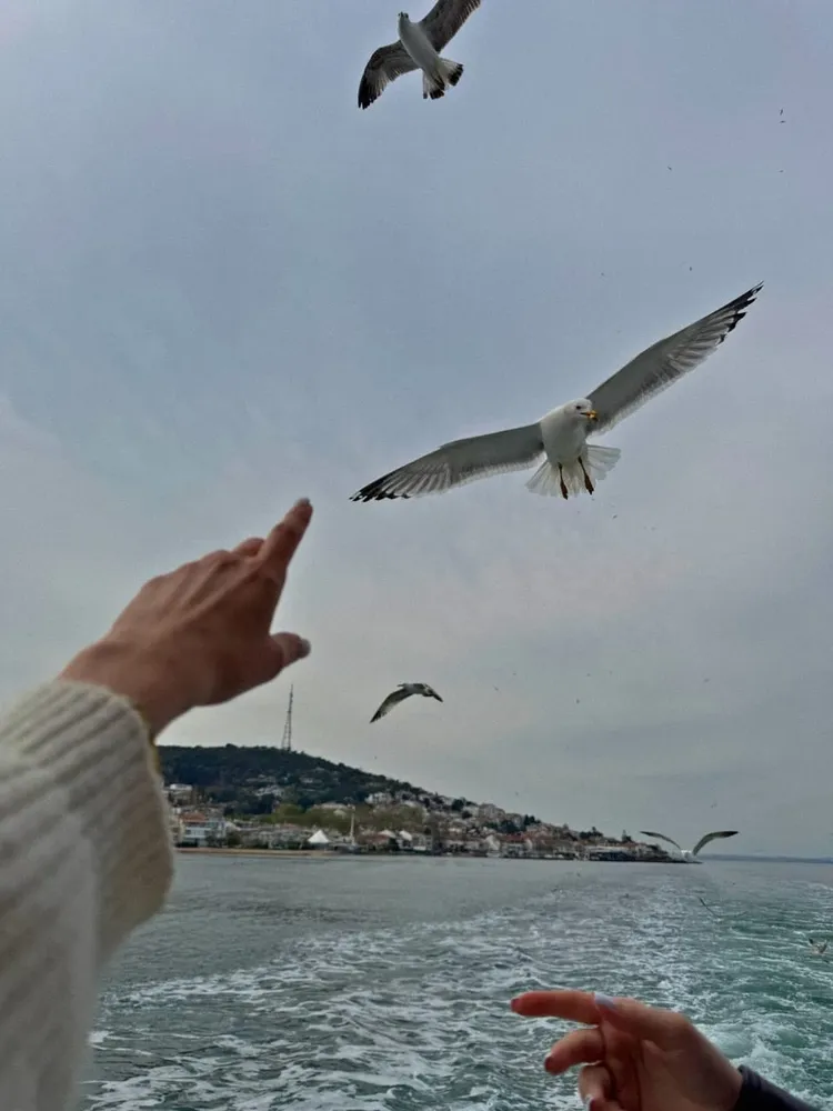 Стамбул. Мост между Востоком и Западом