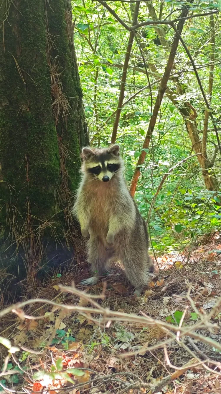 Индивидуальная экскурсия к скале Парус