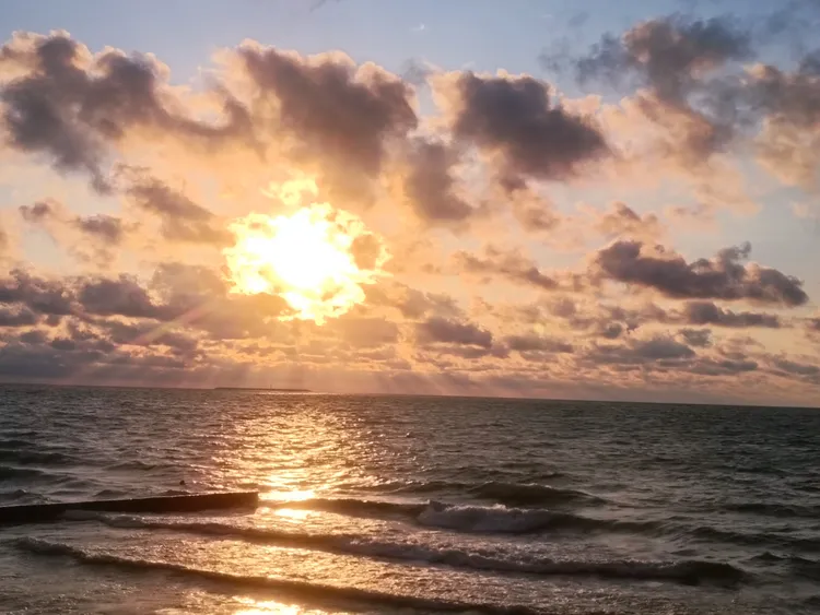 Куршская коса от А до Я