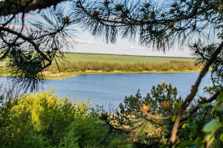 Душевный вечер у реки с гитарой