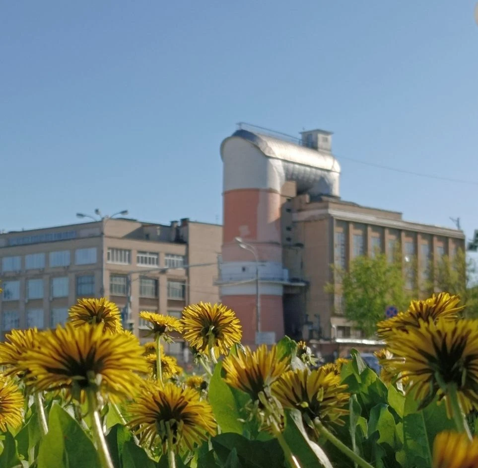 Через 4 года здесь будет город-сад! Авторская экскурсия по Жуковскому