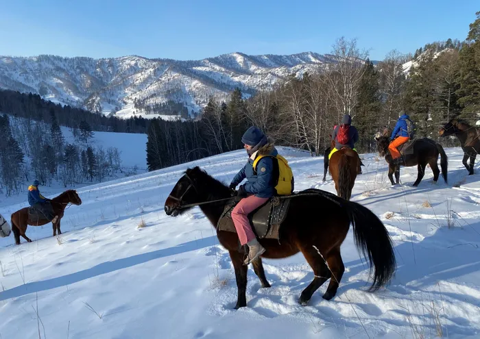 Морозные узоры Алтая: там, где рождается чистейший воздух планеты