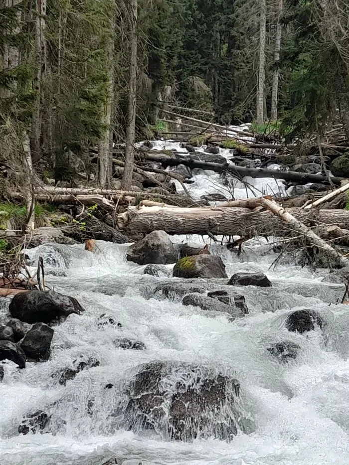 Домбай – великолепный и чарующий: путешествие из Кисловодска