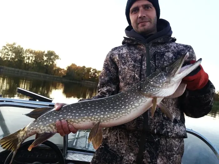 Рыбалка с гидом в окрестностях Саратова: Волга покажет характер — а вы покажете класс!