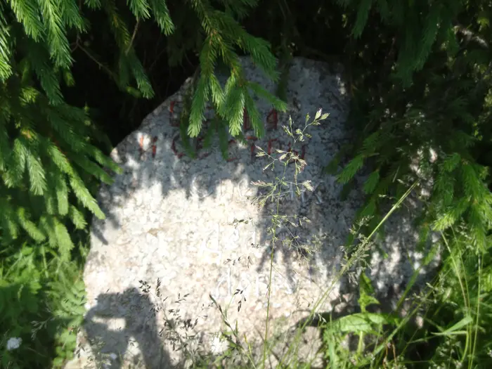 Дьяконовская поляна: древнее капище и место силы