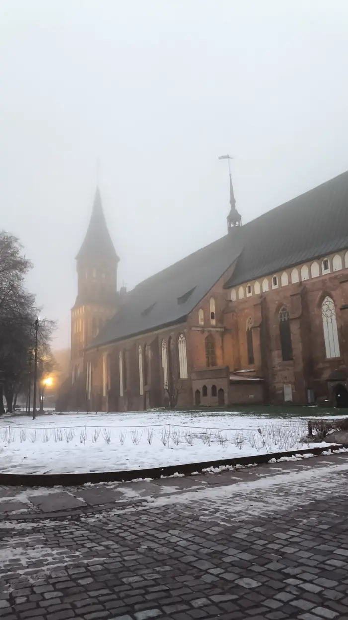 Калининград нетуристический: кофе в порту, прусские замки, старинные кирхи и сыр, за которым едут 1200 км