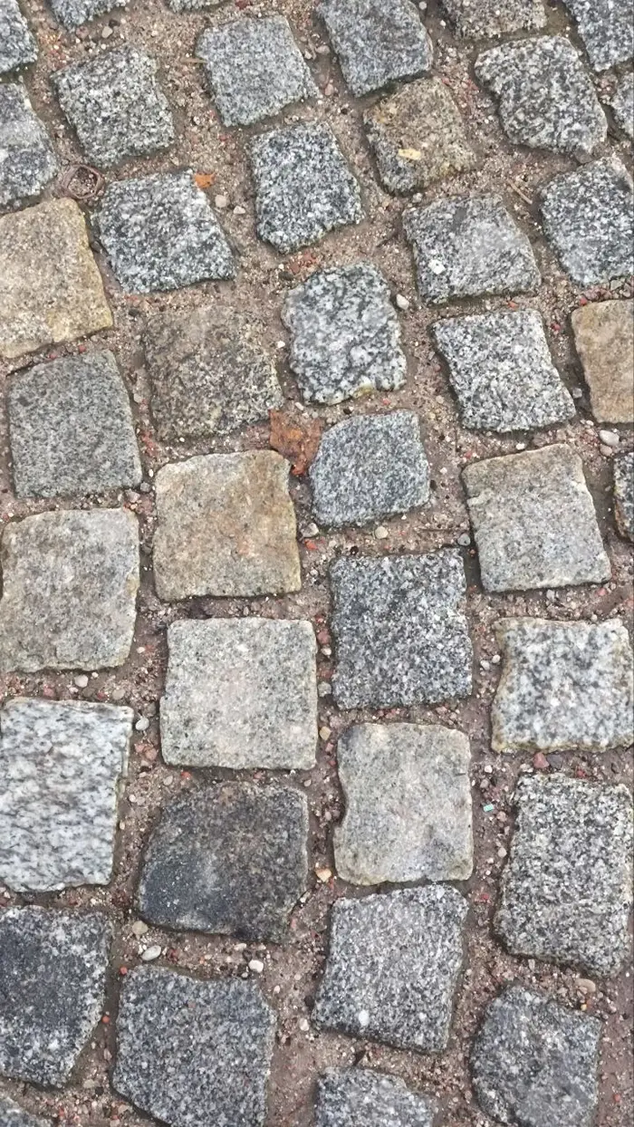 Калининград нетуристический: кофе в порту, прусские замки, старинные кирхи и сыр, за которым едут 1200 км