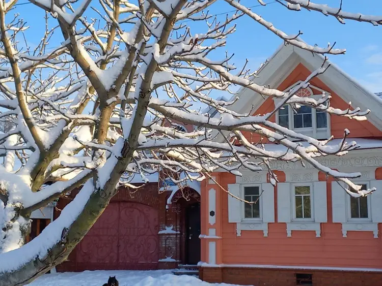 Городец: место силы и сказочная Русь. Авторская экскурсия из Нижнего Новгорода