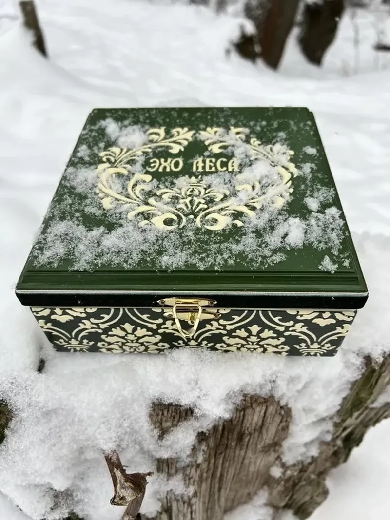 Иммерсивная прогулка в историческом лесу Москвы!