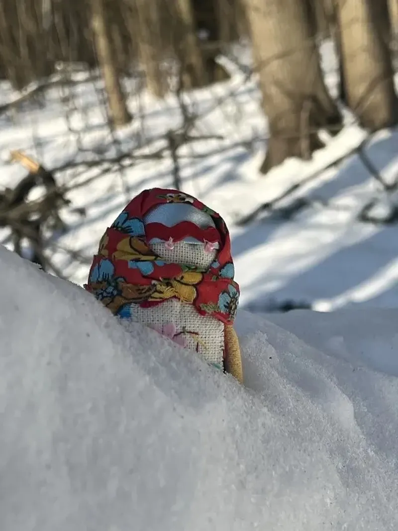 Иммерсивная прогулка в историческом лесу Москвы!