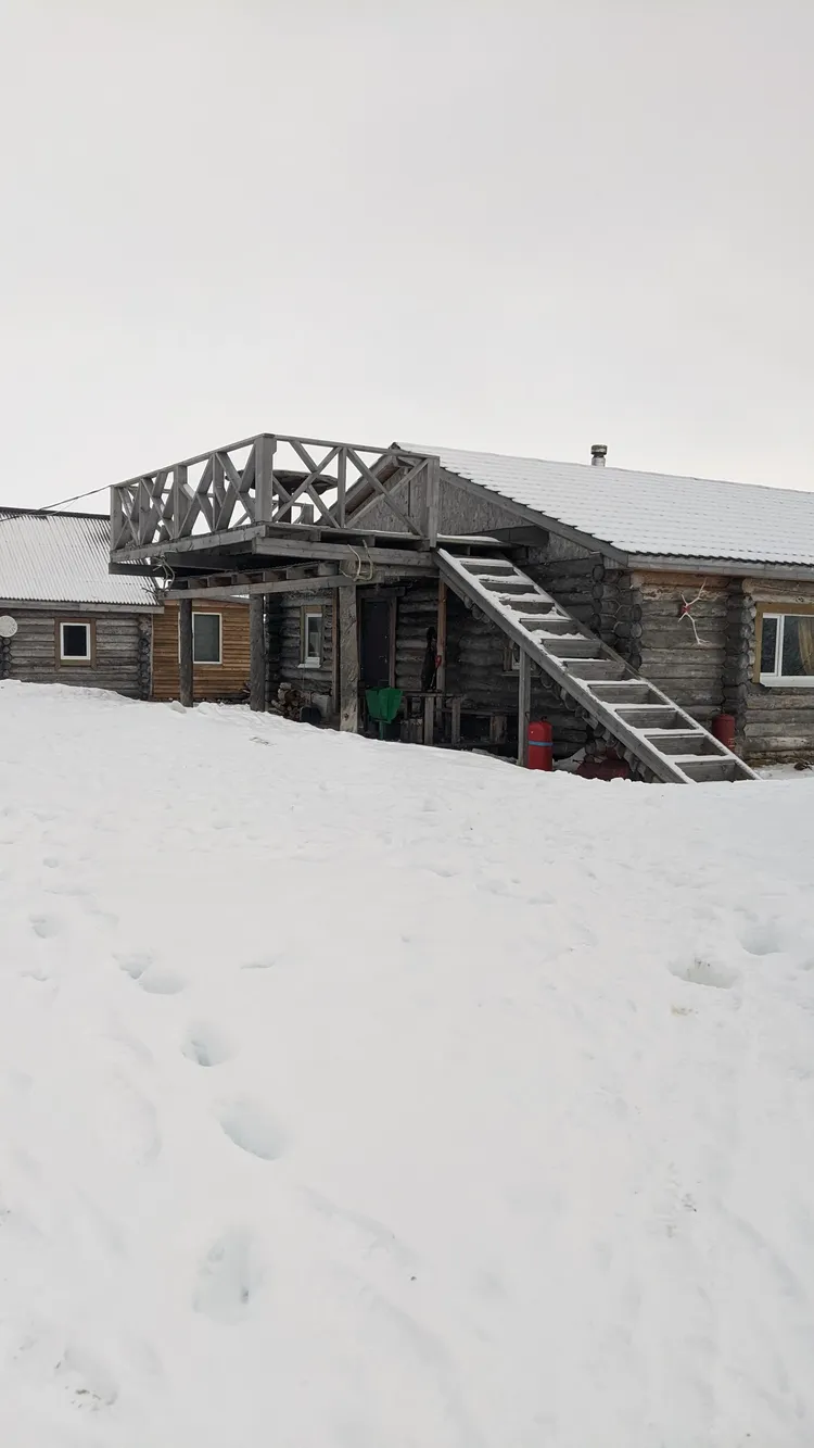 Тундра, скалы, море и его обитатели