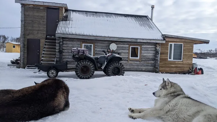 Тундра, скалы, море и его обитатели