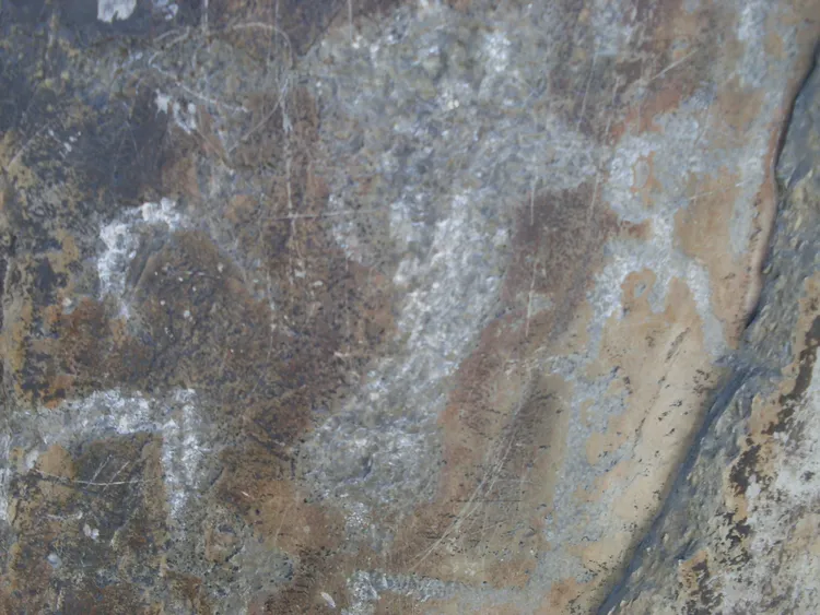 Экскурсионный тур. Места силы Горного Алтая