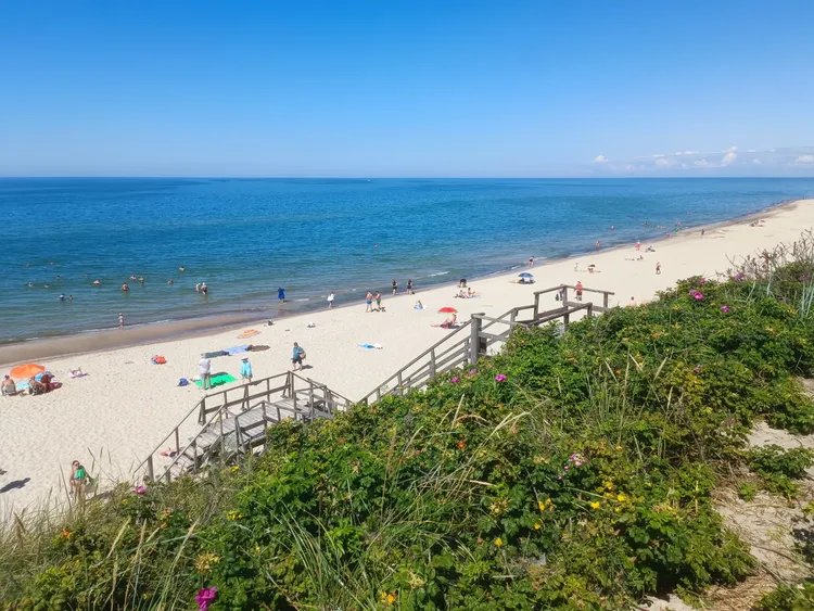 Куршская коса от А до Я