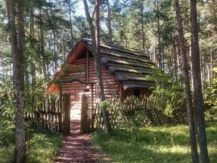 Куршская коса от А до Я