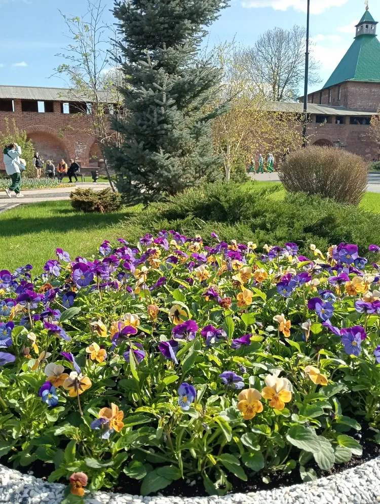 Обзорная экскурсия 