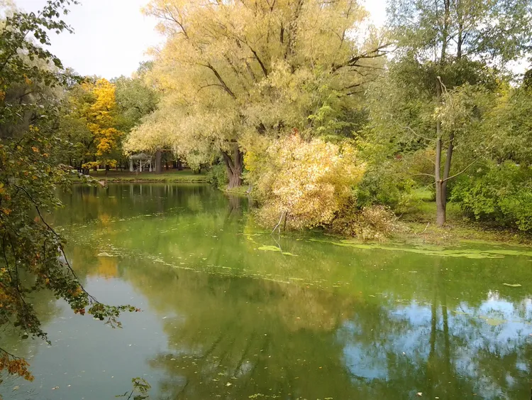 Пушкин, которого вы не знали: авторская экскурсия в Болдино