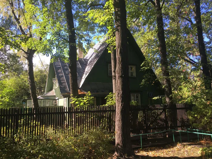 Неизвестная Москва: авторская экскурсия по посёлку художников