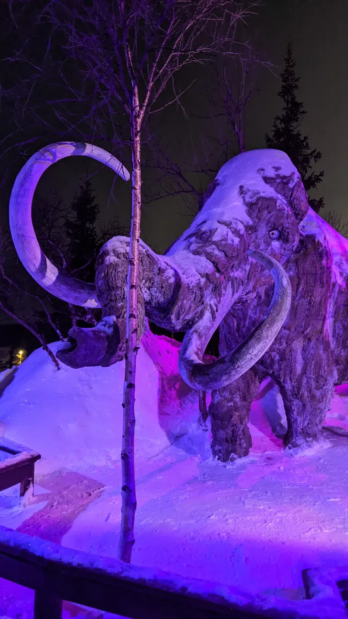 Хибинский калейдоскоп: яркое путешествие за северным сиянием