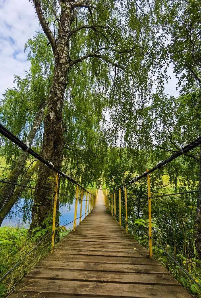 50 оттенков эмоций: красочный вояж по подвесным мостам