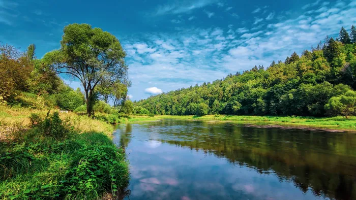 50 оттенков эмоций: красочный вояж по подвесным мостам