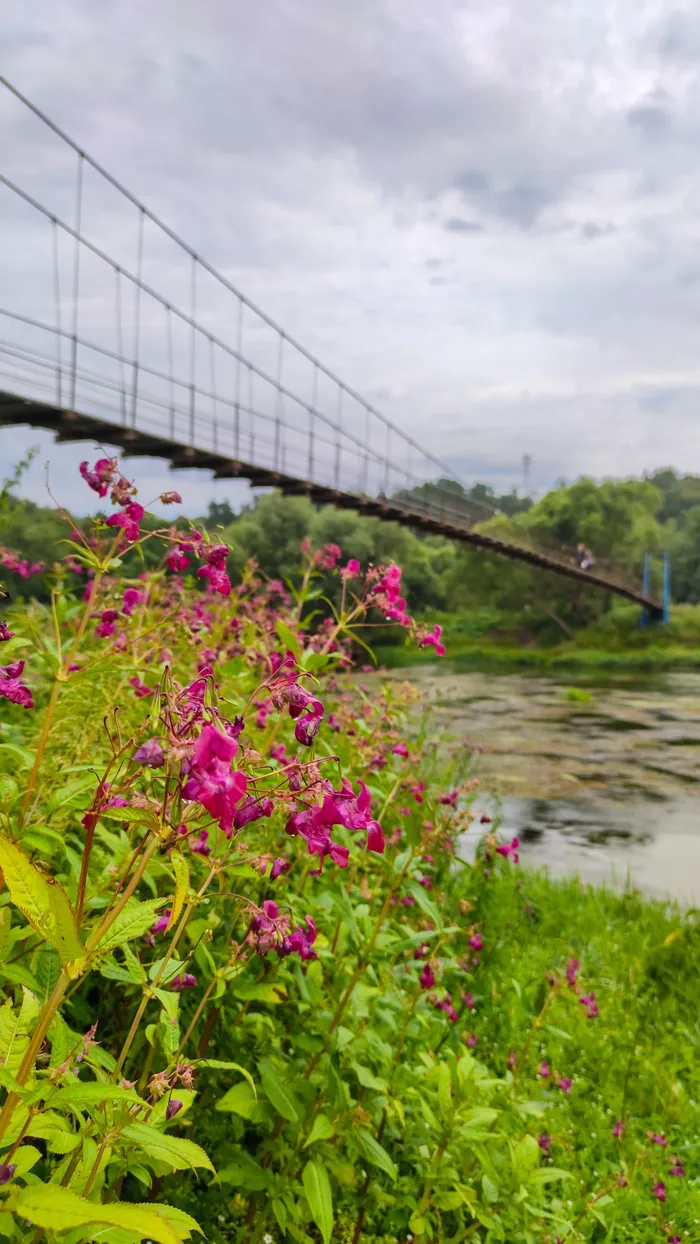 50 оттенков эмоций: красочный вояж по подвесным мостам