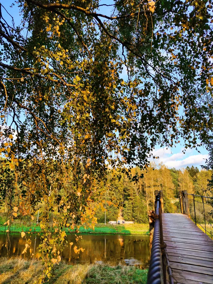 50 оттенков эмоций: красочный вояж по подвесным мостам