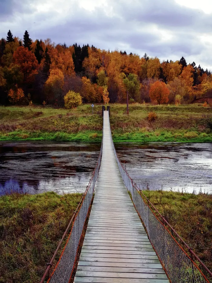 50 оттенков эмоций: красочный вояж по подвесным мостам