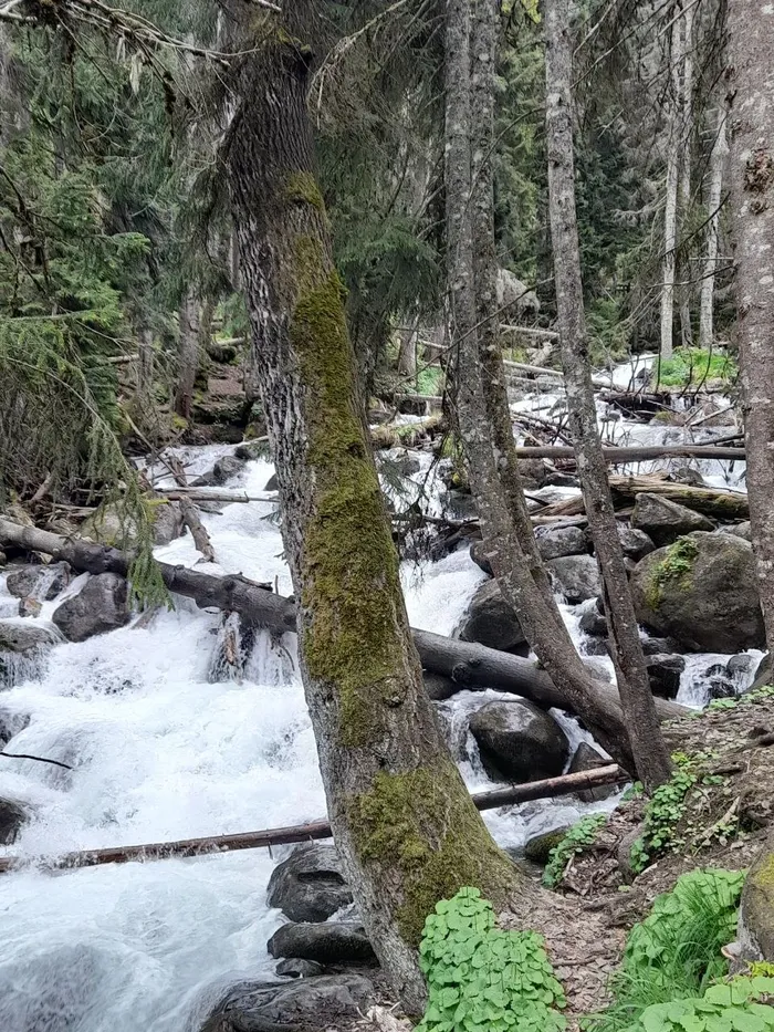 Домбай – великолепный и чарующий: путешествие из Кисловодска