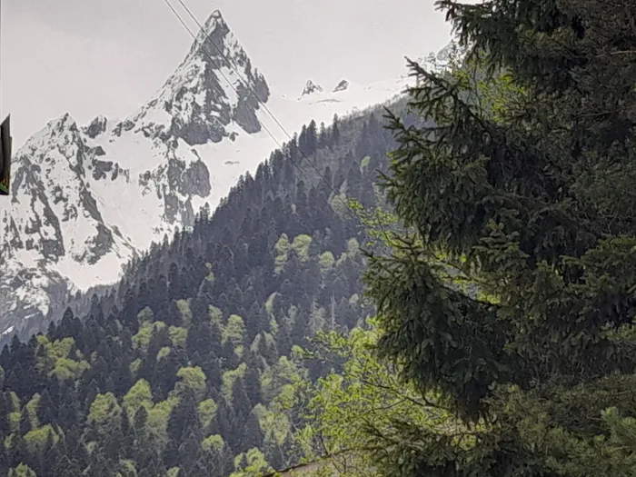 Домбай – великолепный и чарующий: путешествие из Кисловодска