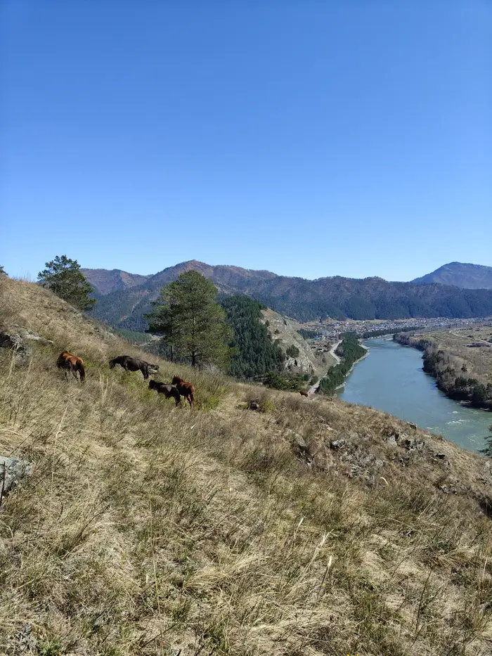 Чертов палец, ароматный чай и легенда о Куюме: трекинг, который цепляет за душу