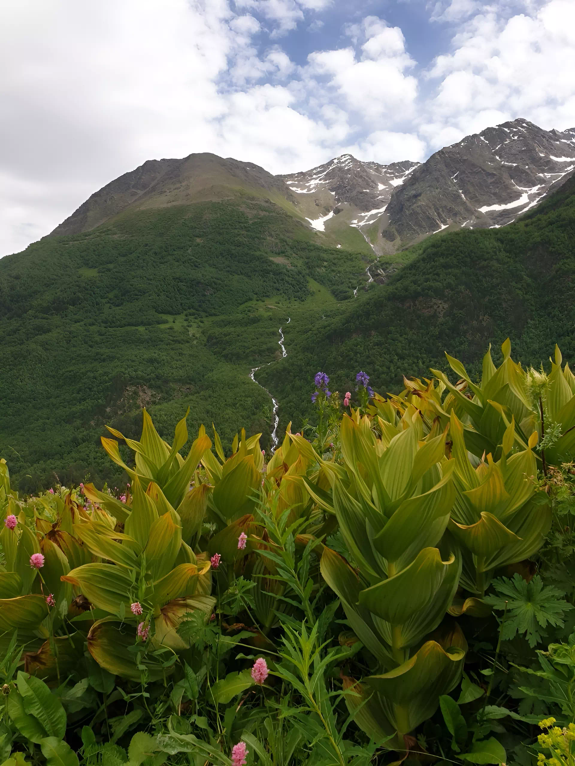Очарование Ессентуков: золотые купола и минеральные воды