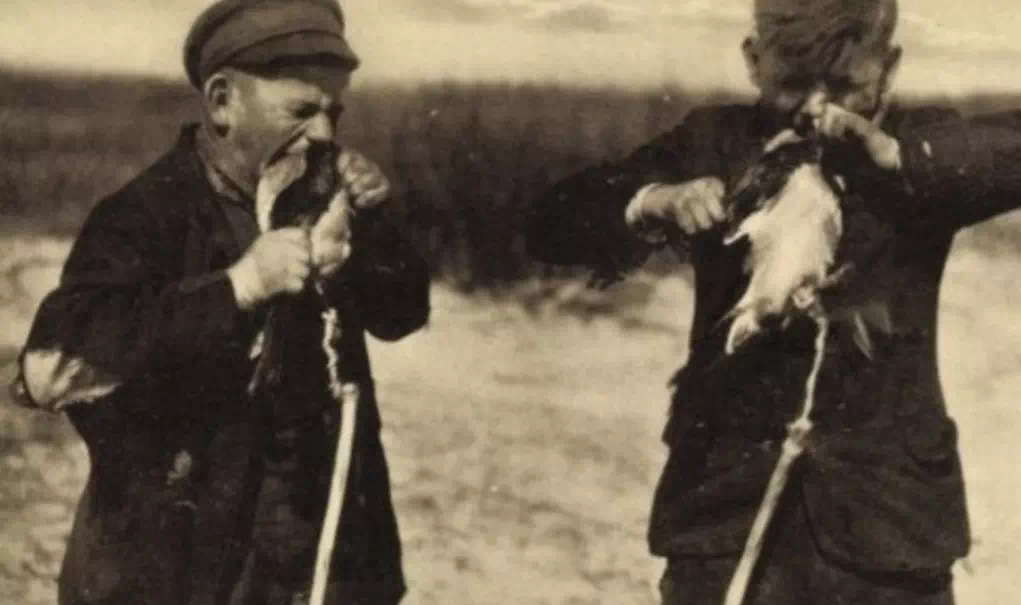 Кусатели ворон (блог Денис.М 655)