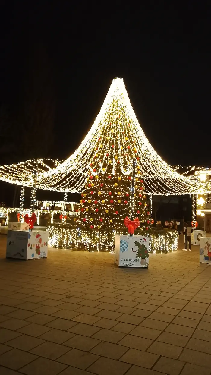 Свидание с Зеленоградском: влюбитесь в город за 2 часа. Море, коты, история и никакой спешки